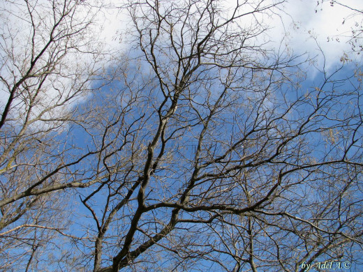 48960 (a): :1600x1200